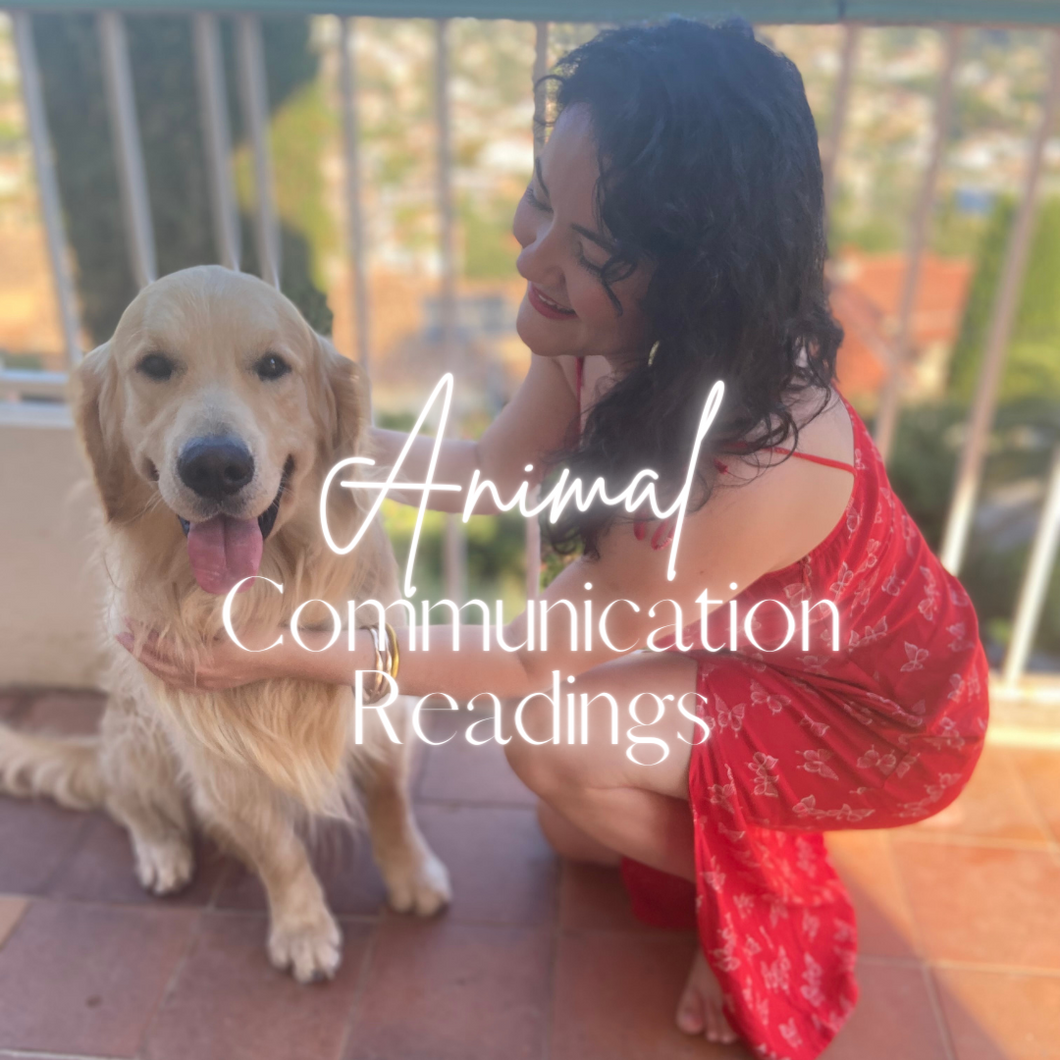 Animal Communication Reading