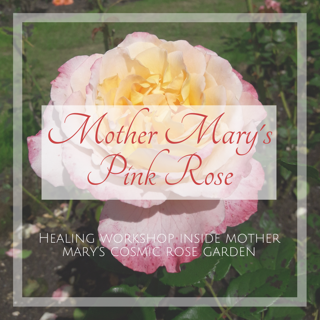 Mother Mary's Pink Rose workshop